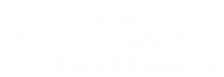 light logo